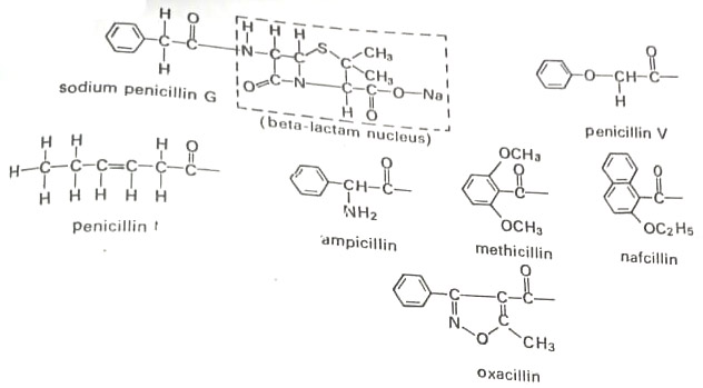 Some members of the penicillin group of antibiotics